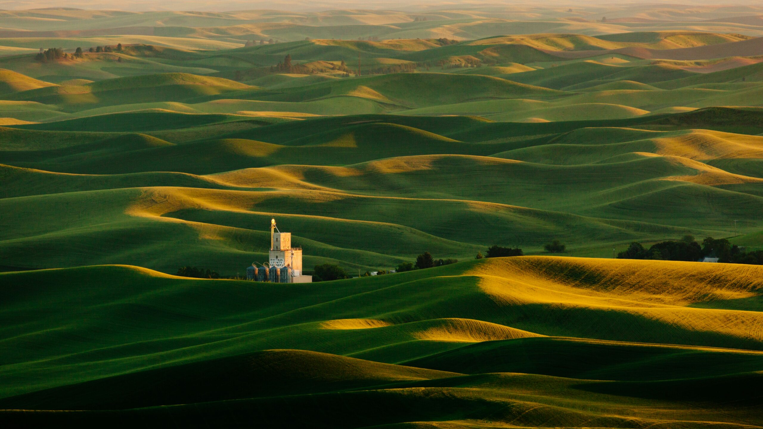 Wheat Classes in the U.S.A.