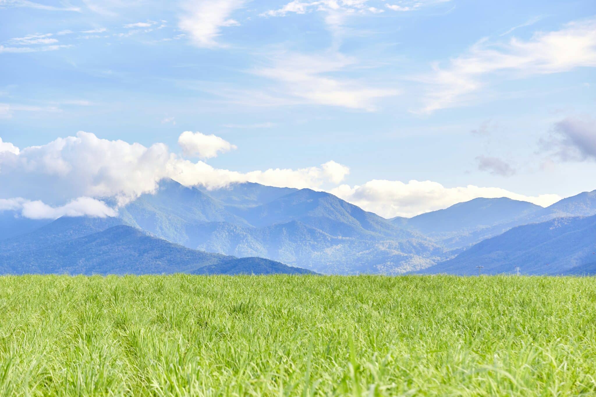 Wheat Growing Regions in the Northwest